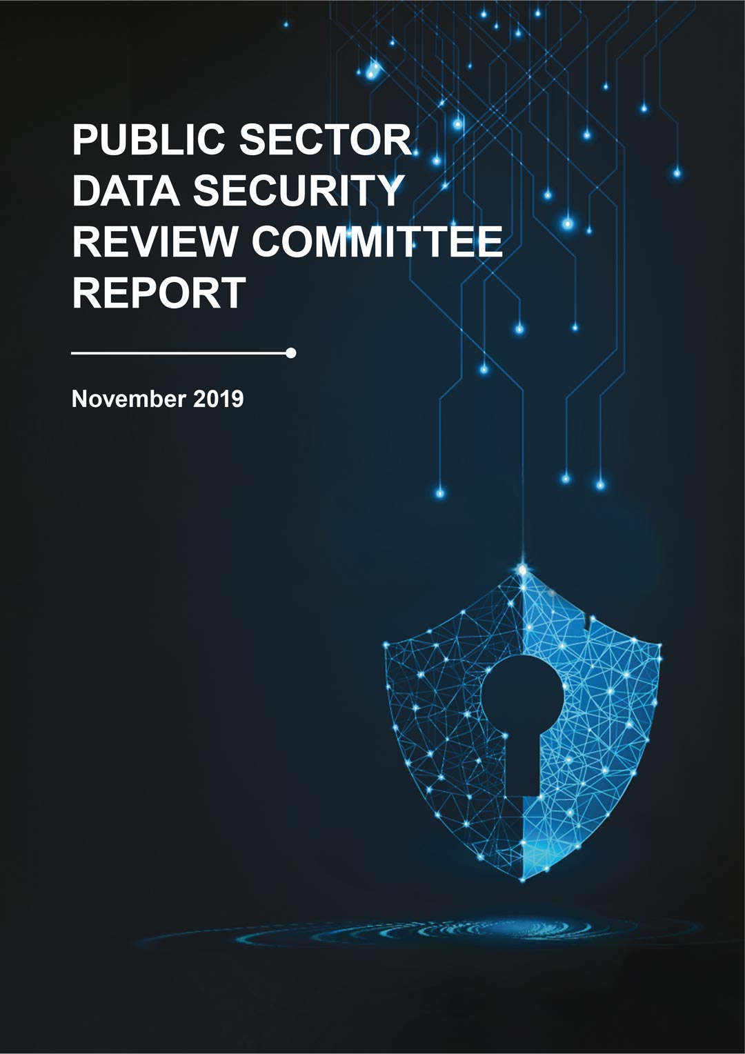 Public Sector Data Security Review Committee Report